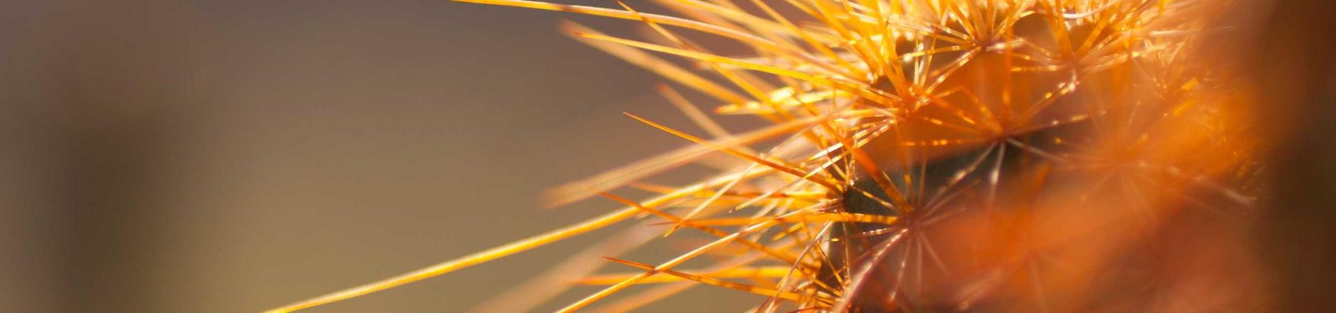 常州冰鑫制冷设备有限公司 &middot; 河间服务中心